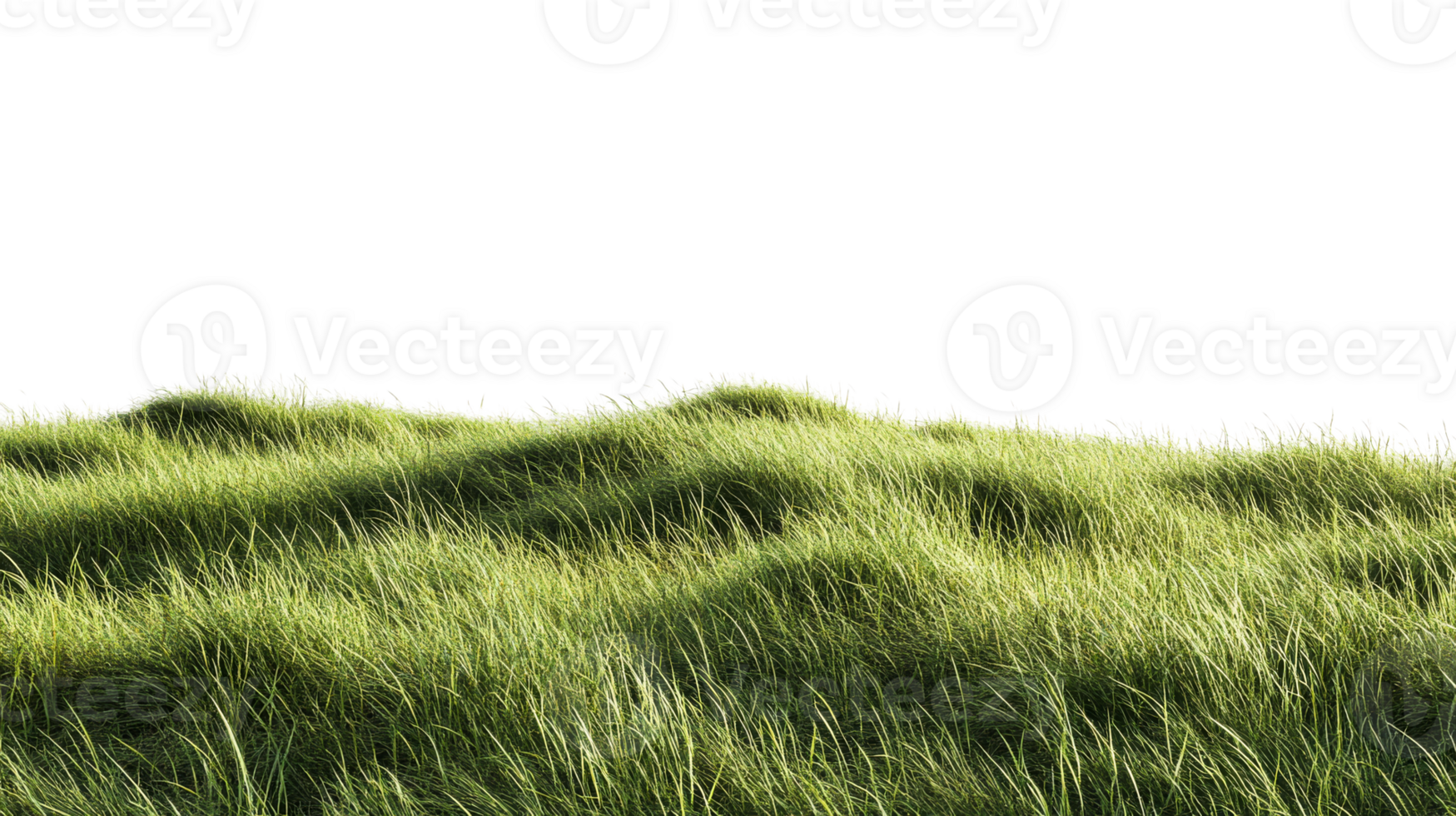 Lush green grass landscape with gentle hills png