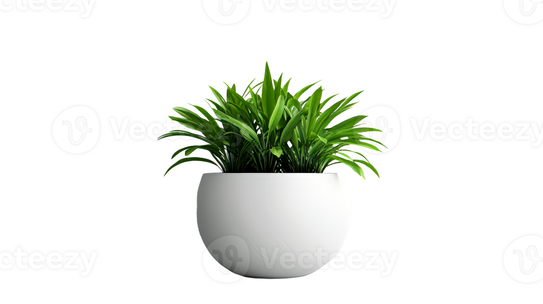 Modern white pot with green plant png