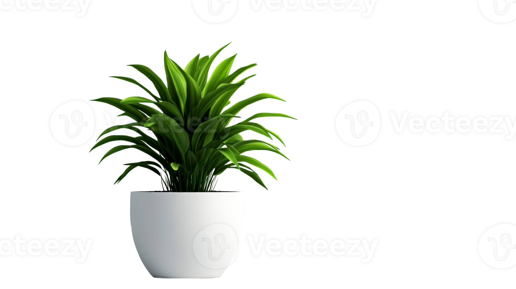 A vibrant green plant grows in a sleek white pot png