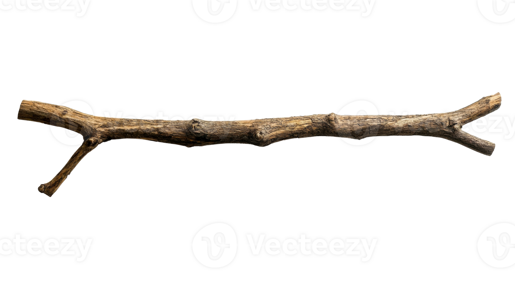 Natural branch with rough texture and unique shape png