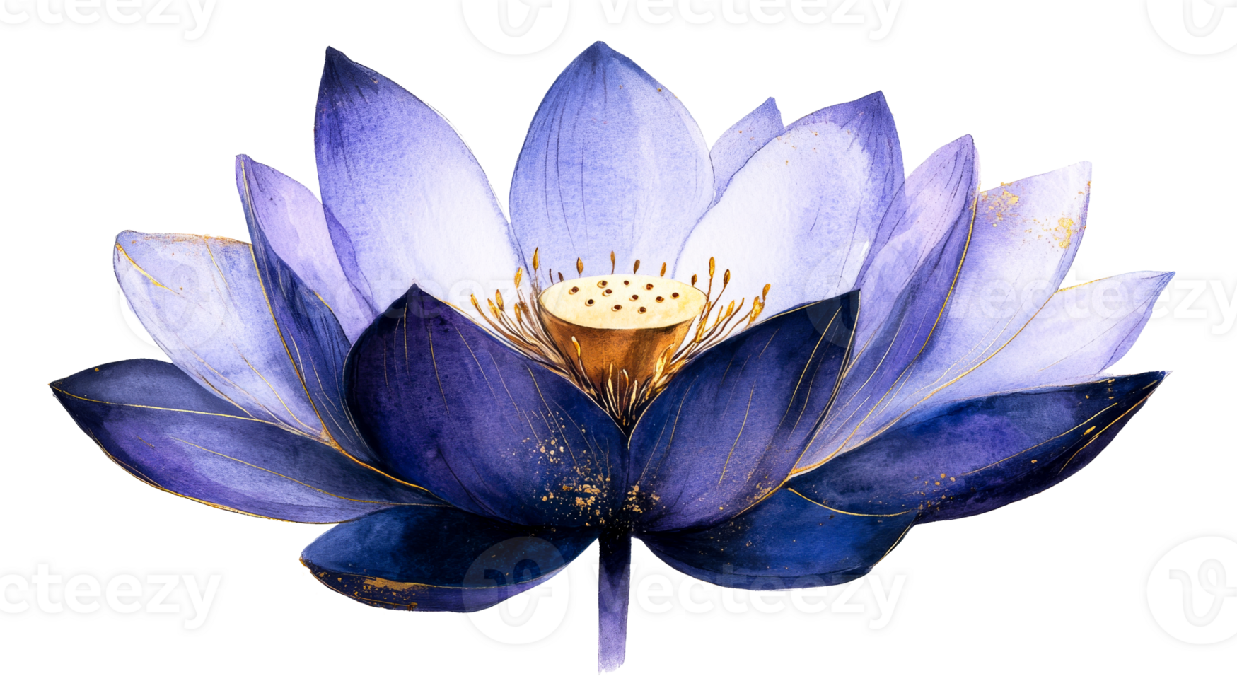 Watercolor lotus bloom, cut out transparent png