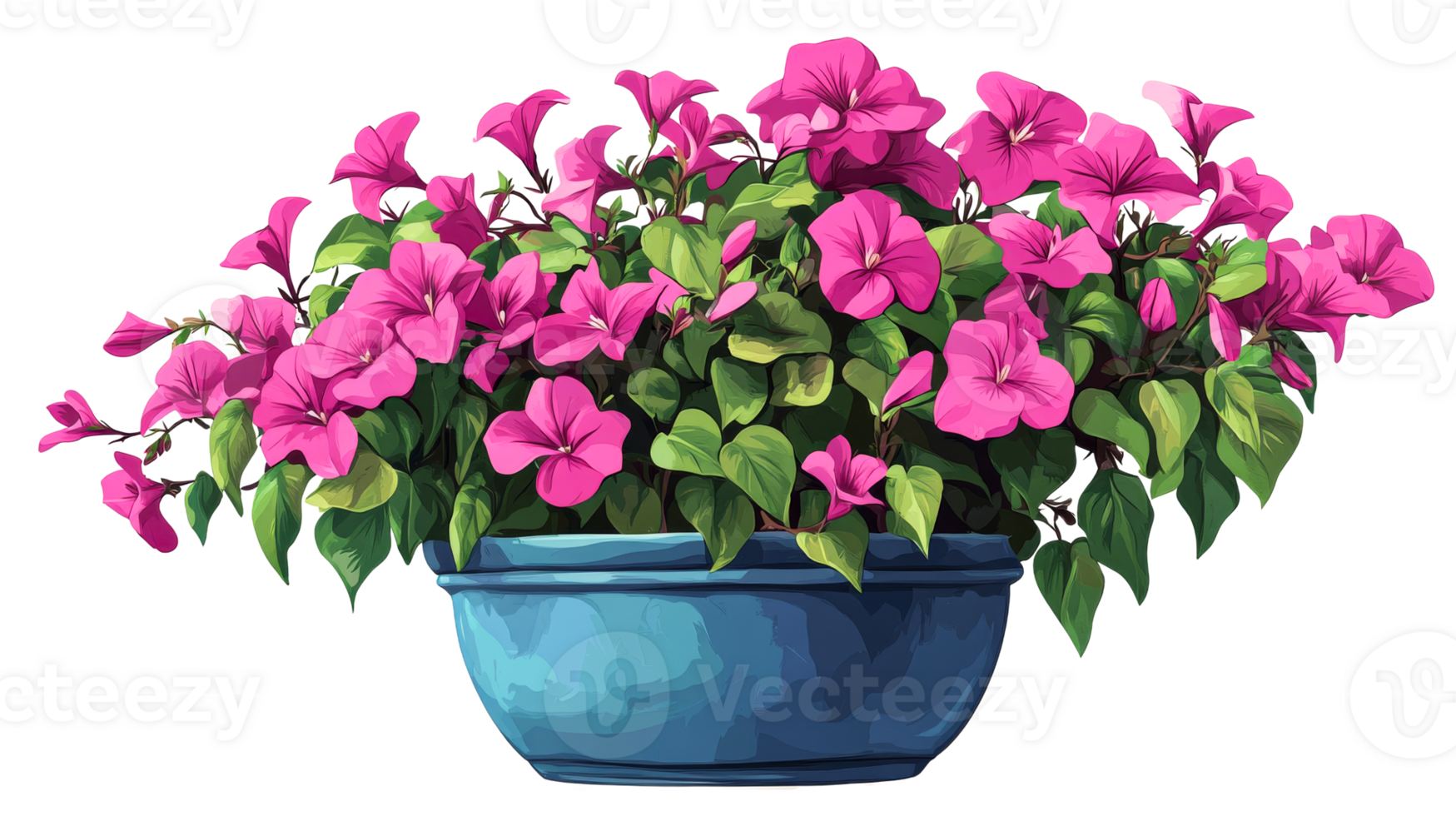Pink blossoms in blue pot, cut out transparent png