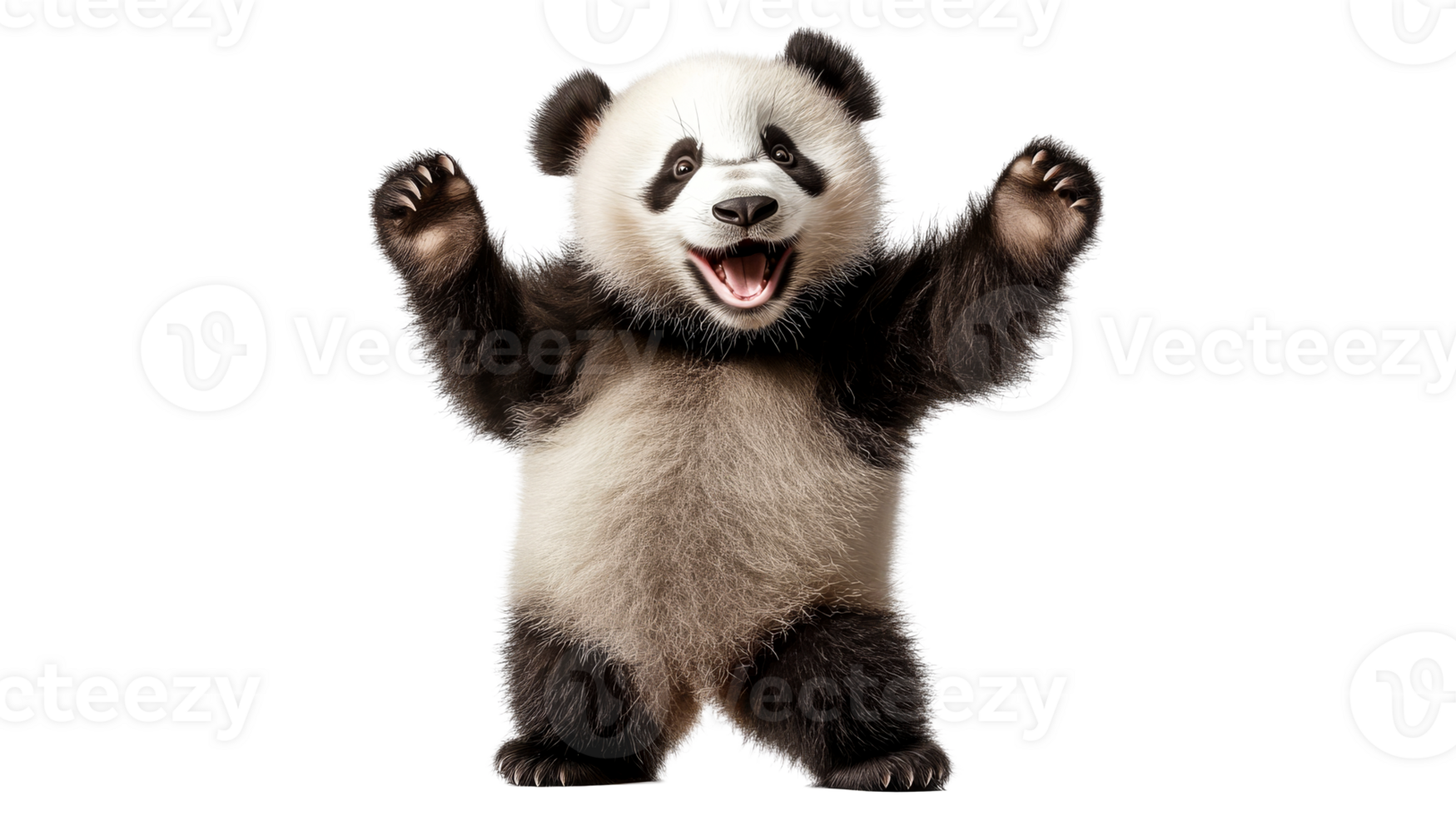 Joyful Panda Cub Posing Upright, cut out transparent png