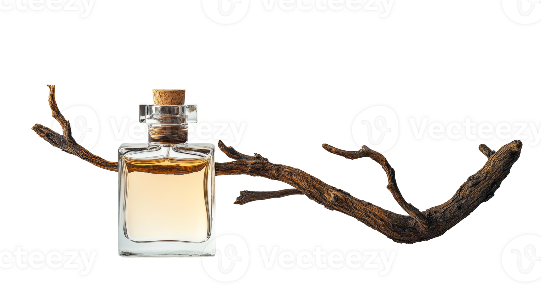 Perfume bottle, dried plant stem, isolated, cut out transparent png