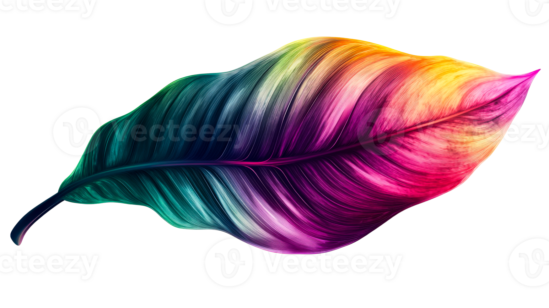 Vibrant leaf on black background, cut out transparent png