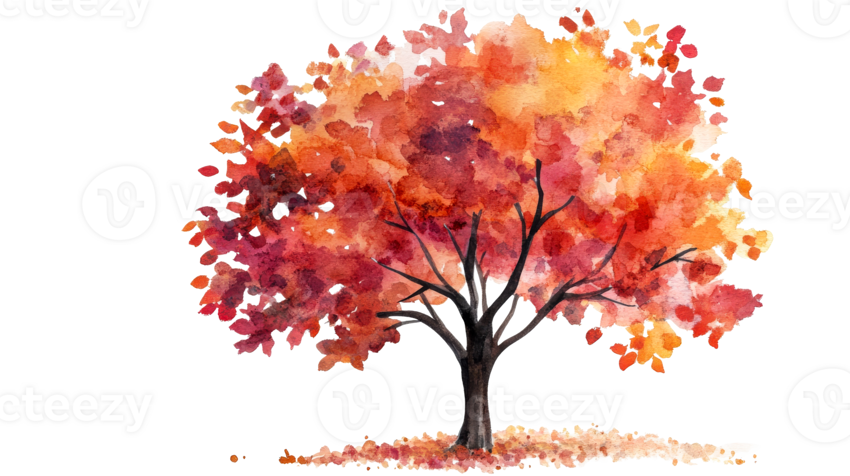 Watercolor Fall tree with red leaves, cut out transparent png