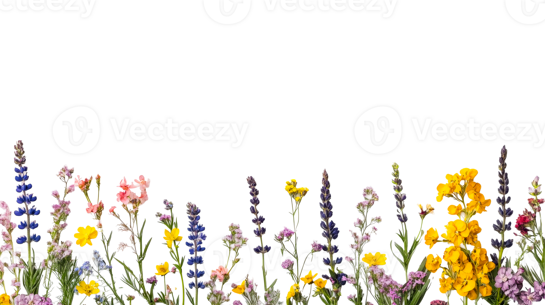 Assorted wildflowers, isolated layer, cut out transparent png