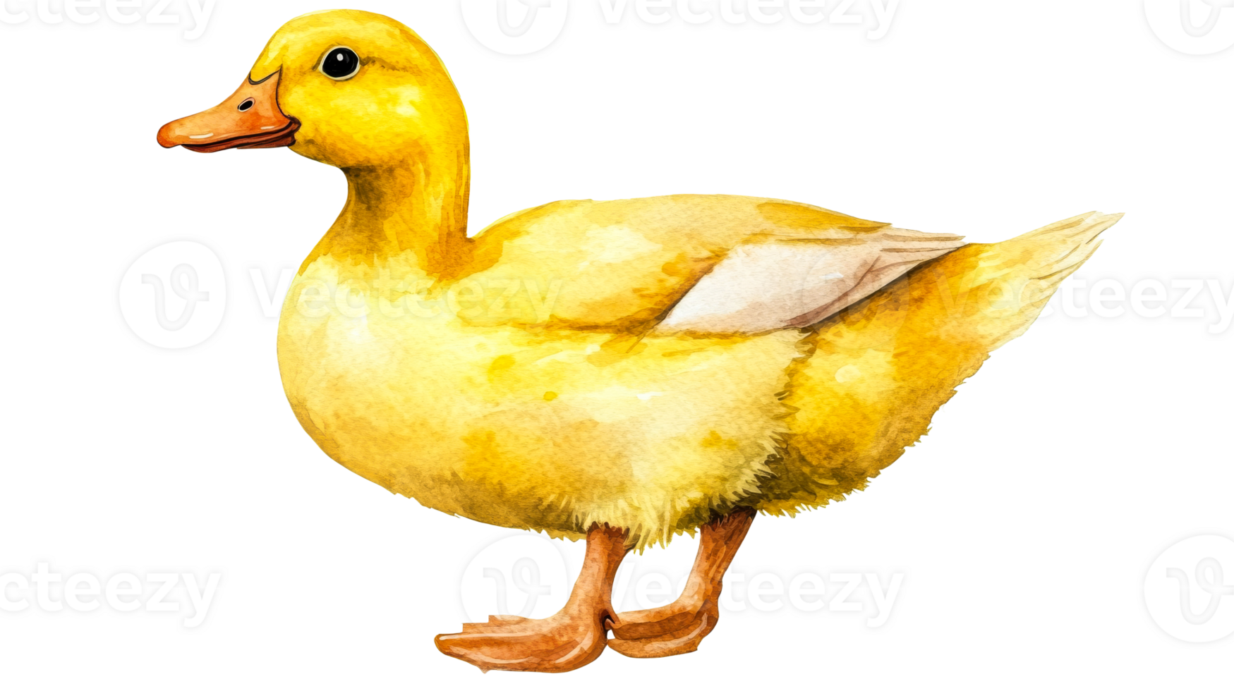 Duckling watercolor, isolated avian fauna, cut out transparent png