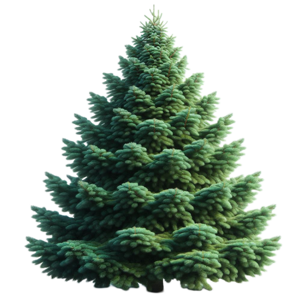 Realistic Green Pine Tree png
