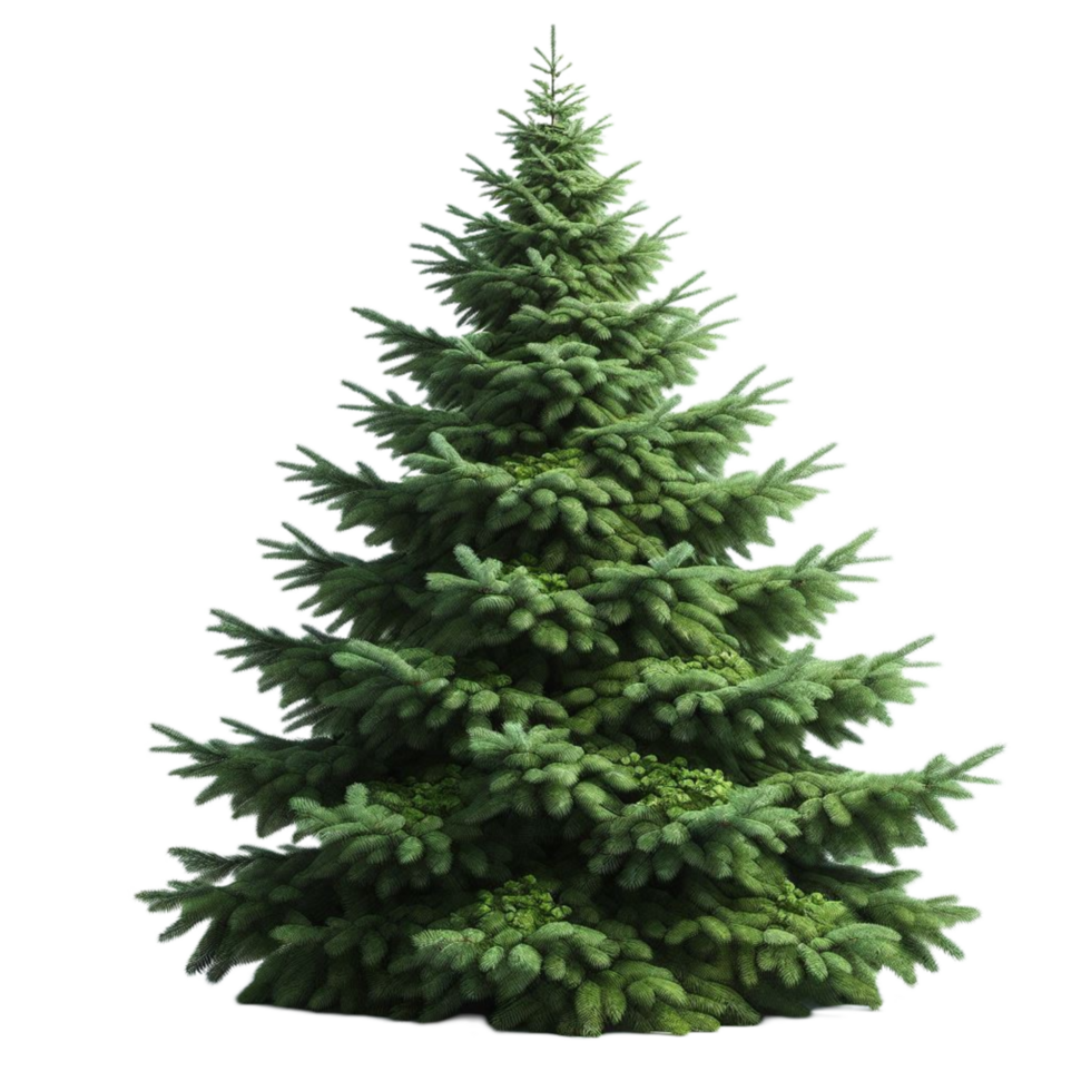 Realistic Christmas Tree png