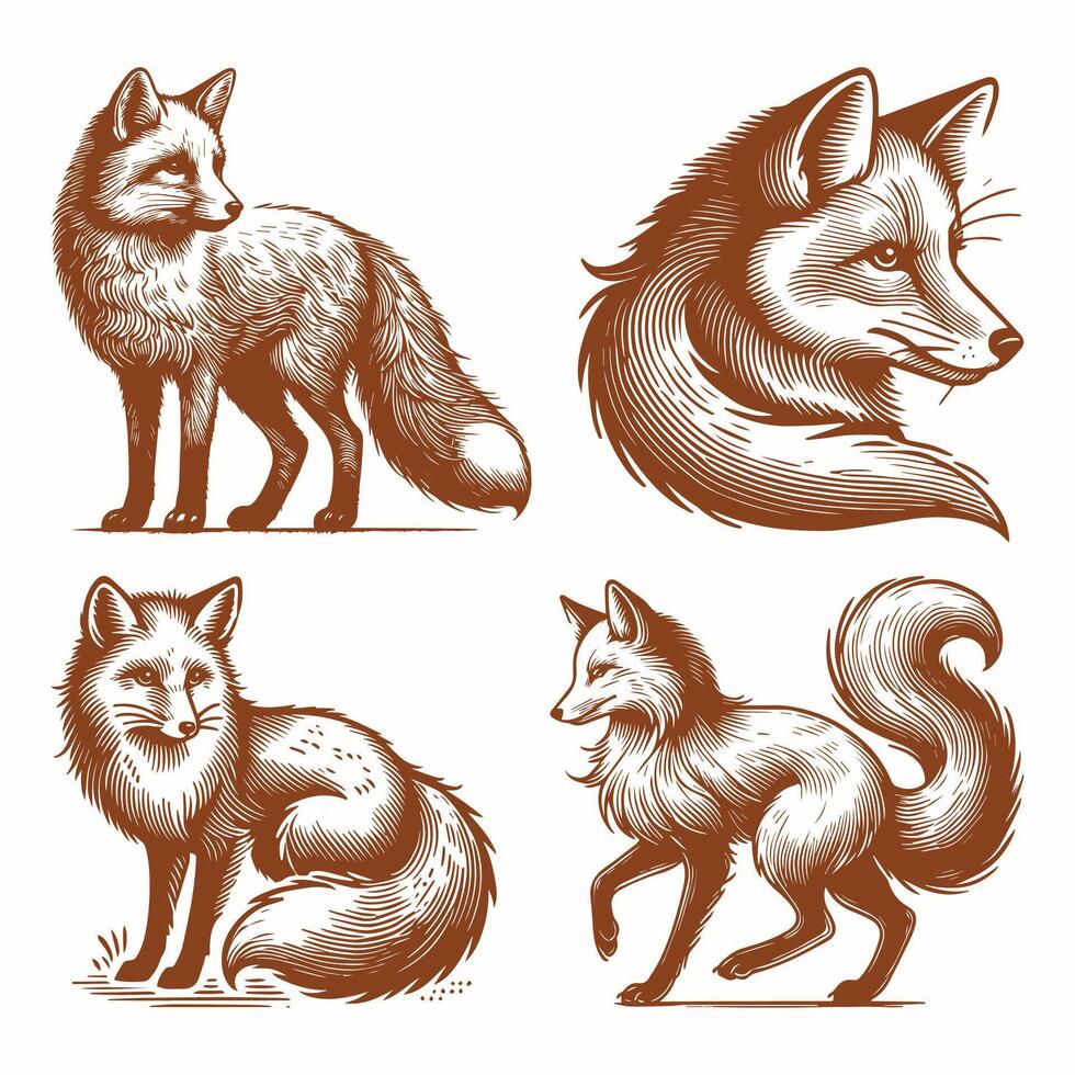 Fox silhouette illustration design in white background vector