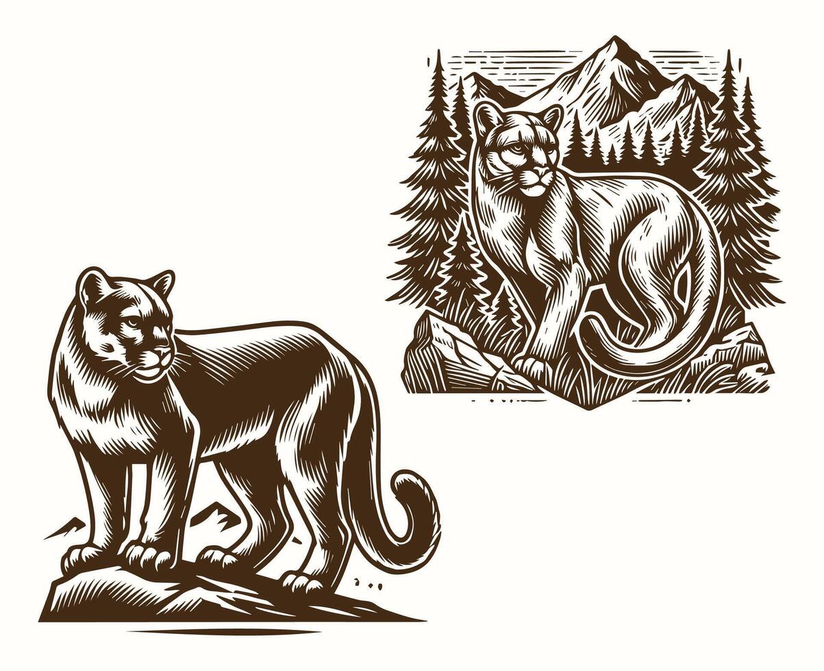 Mountain Lion Animal Illustration Image vector