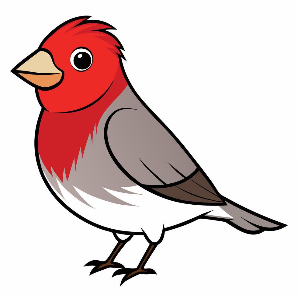 Cute cartoon cardinal bird illustration isolated on white background vector