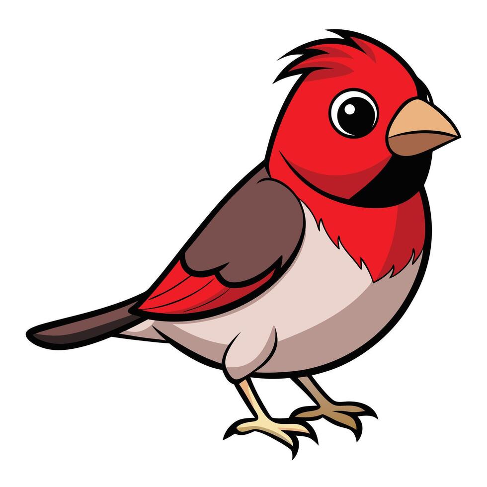 Cute cartoon cardinal bird illustration isolated on white background design vector
