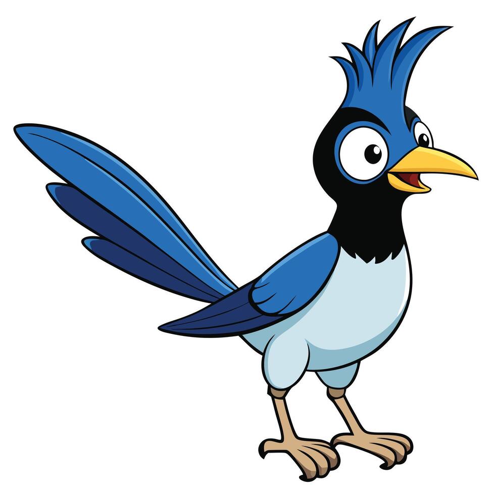 Cartoon blue jay bird illustration graphic isolated on white background vector