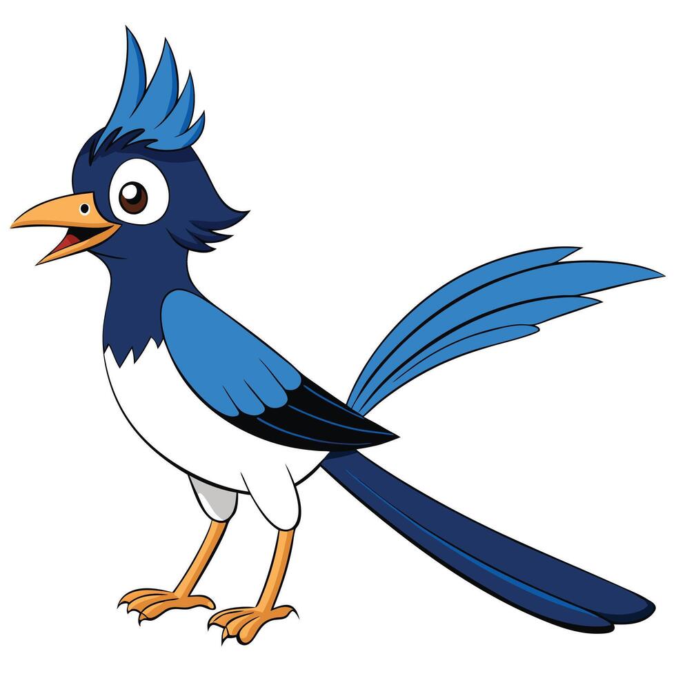 Cartoon blue jay bird illustration standing tall in full view vector