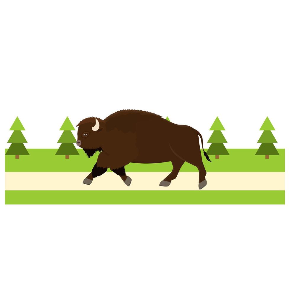 Bison. Bison animal runs in a rural landscape. vector