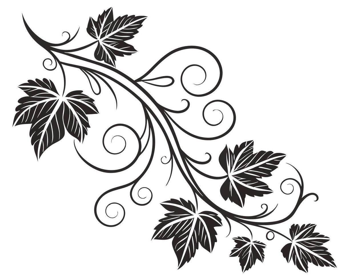 Elegant Black Vine With Leaves and Swirls Decorative Design vector