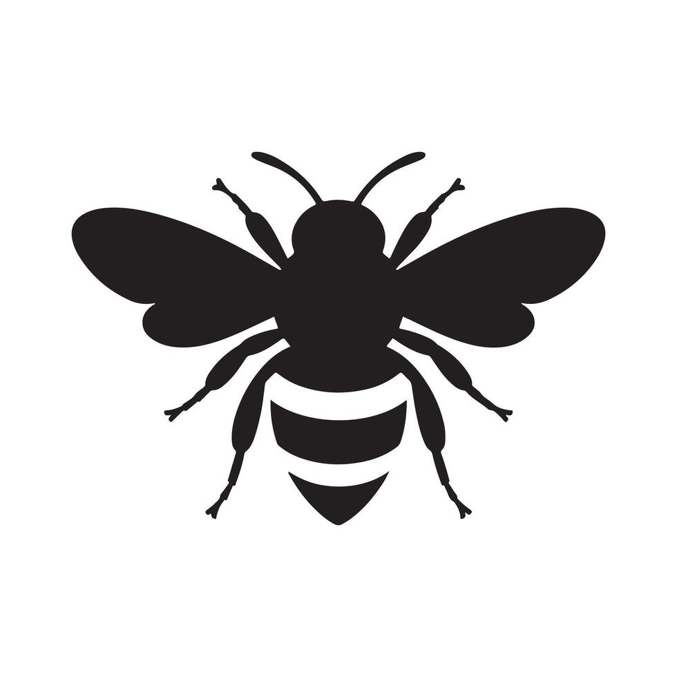 single honey bee icon vector