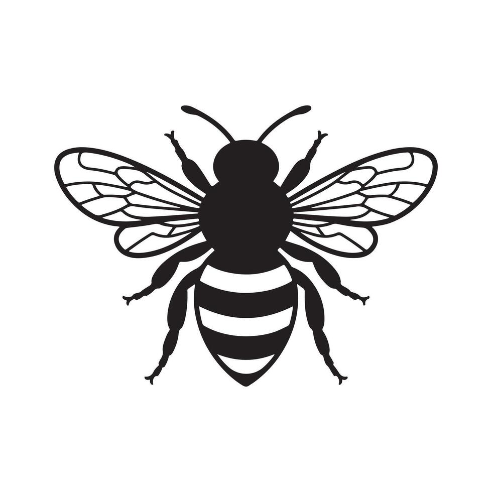 Bee wings of honey icon vector