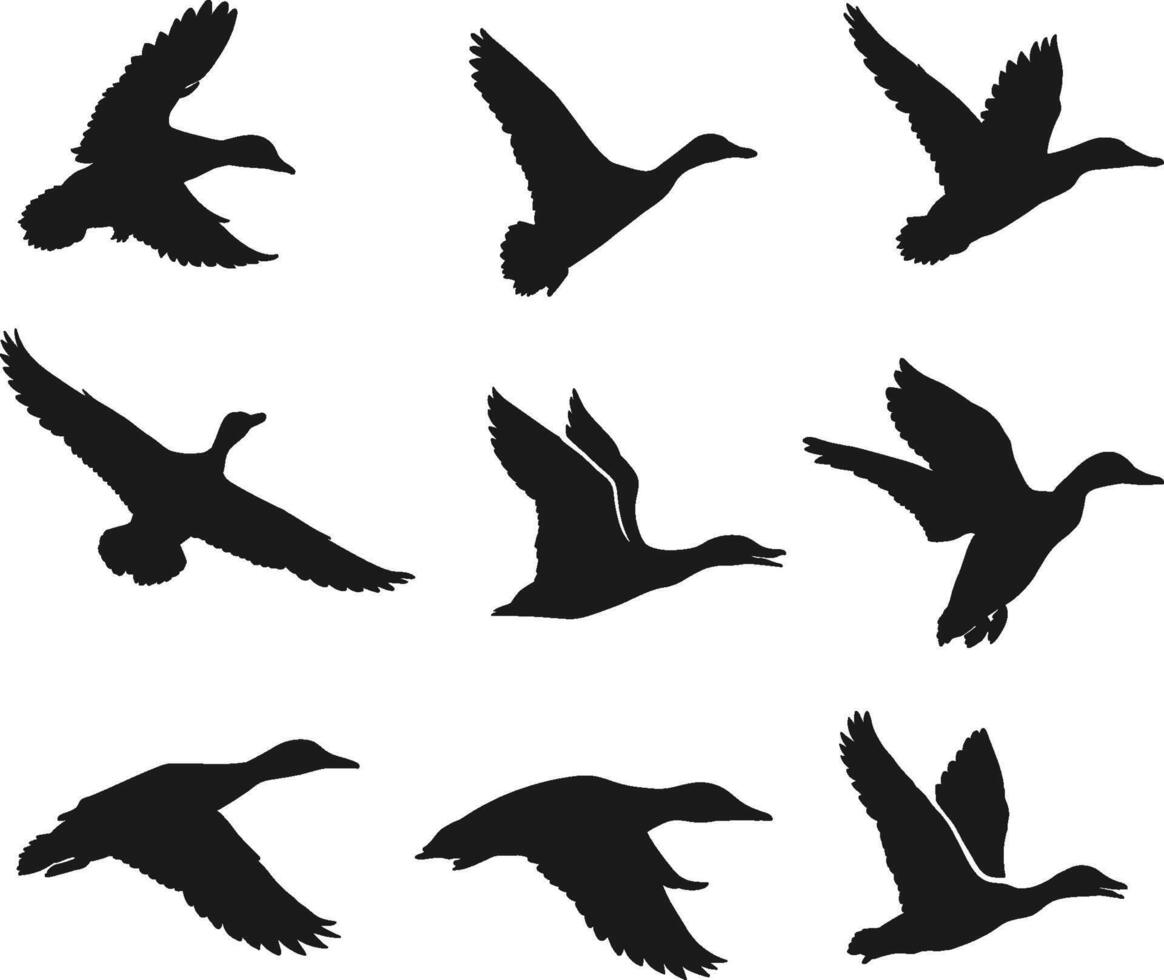 Hand drawn animals silhouette set collection vector