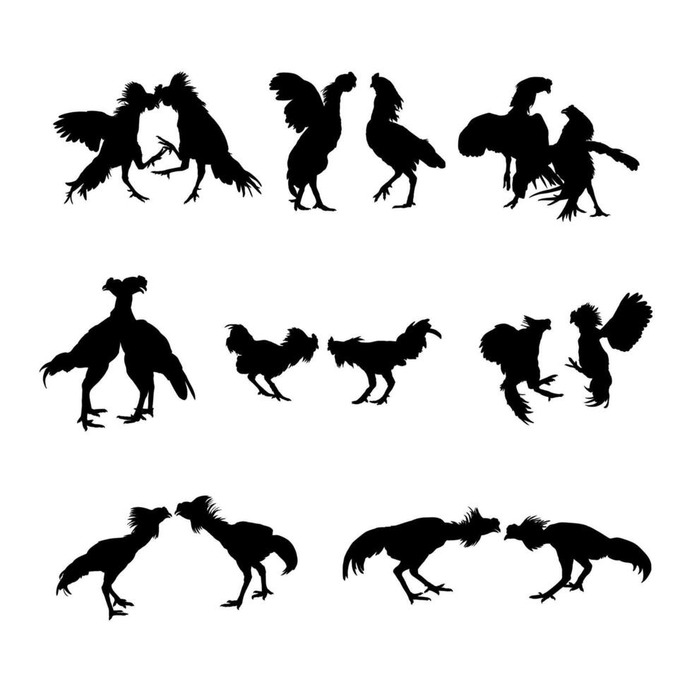 silhouette animal rooster fight on white background vector