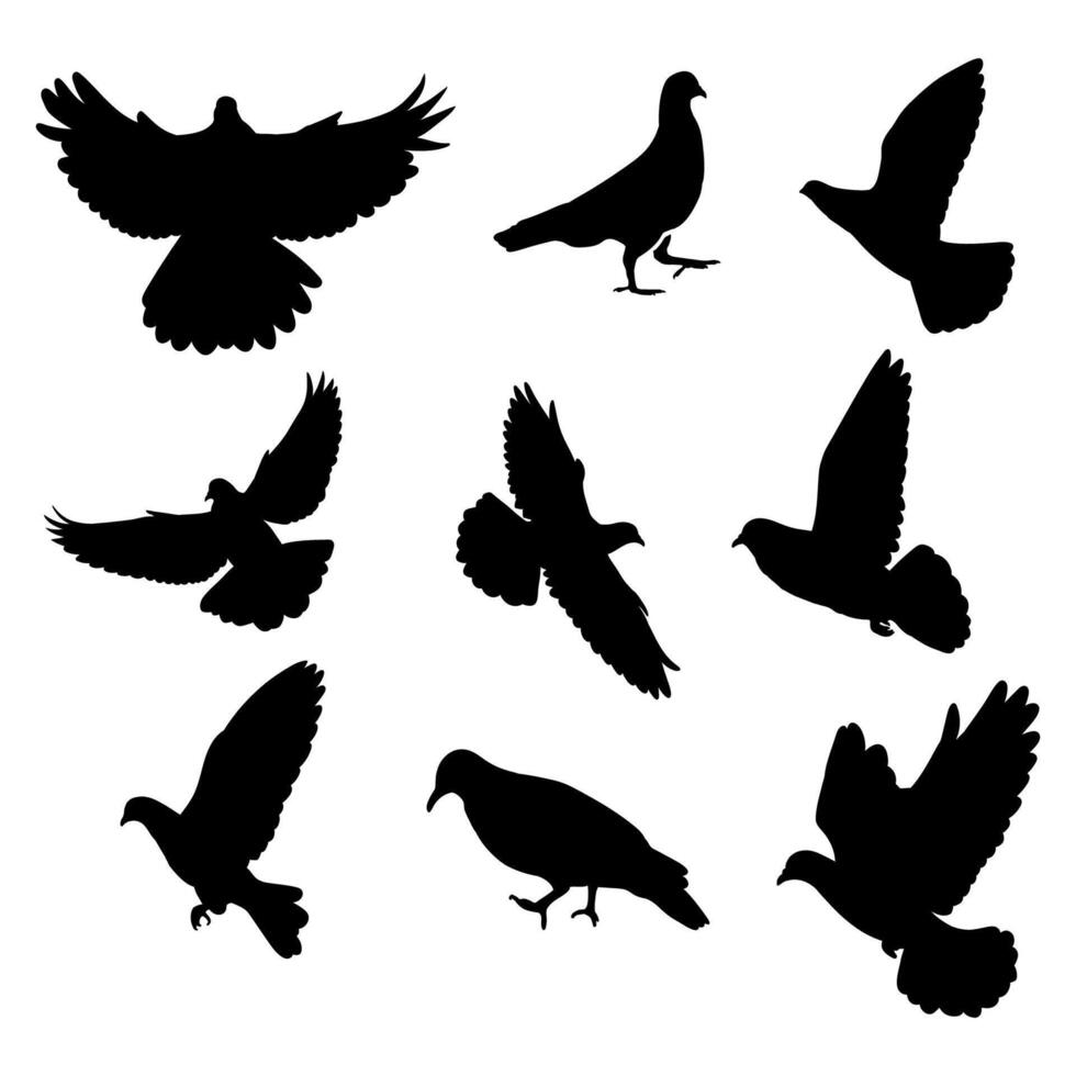 Hand drawn animals pigeon silhouette set on white background vector