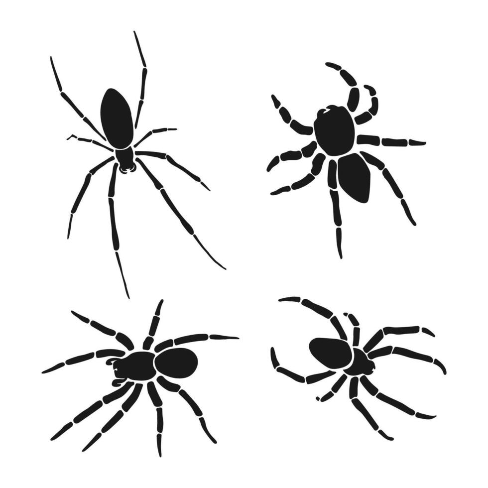 Set of spider silhouettes isolated on white background collection vector
