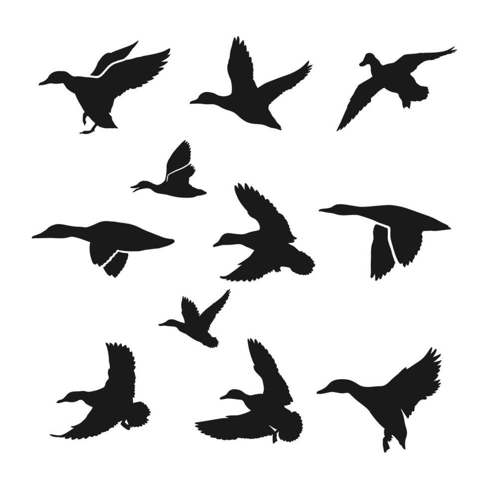 Hand drawn animals silhouette set vector