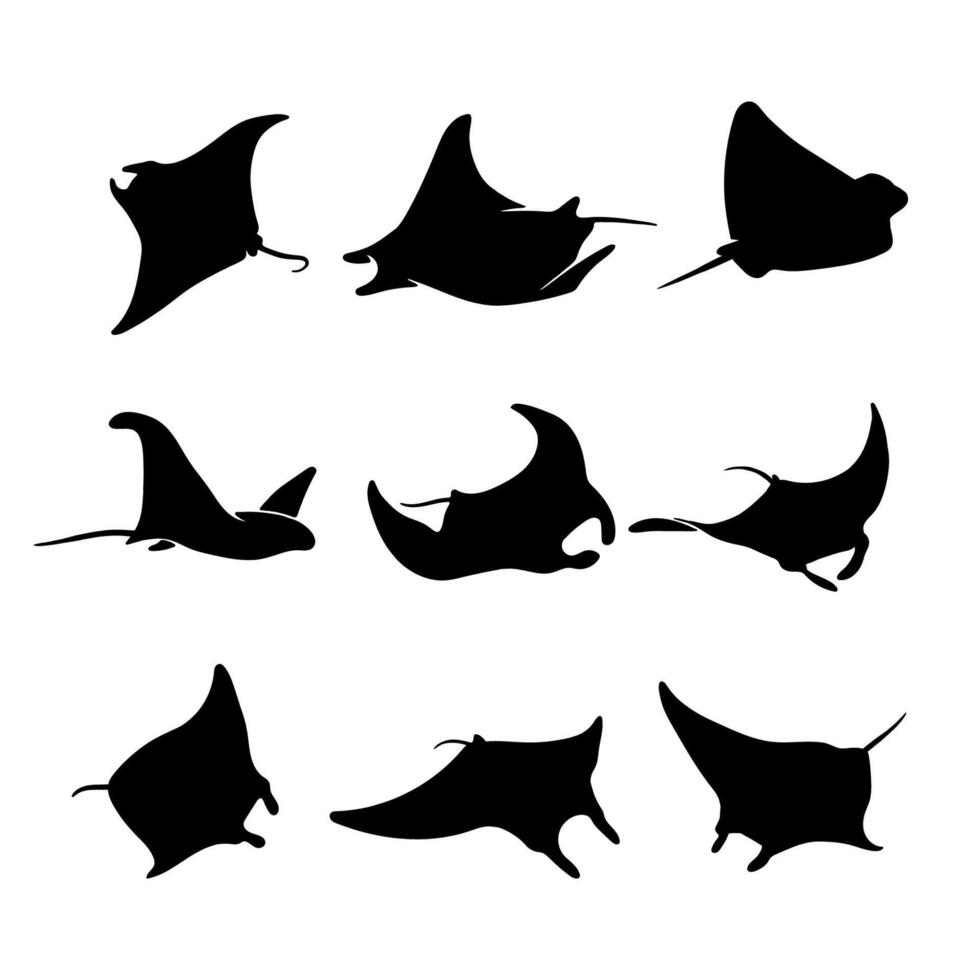 silhouette stingray fish collection set vector