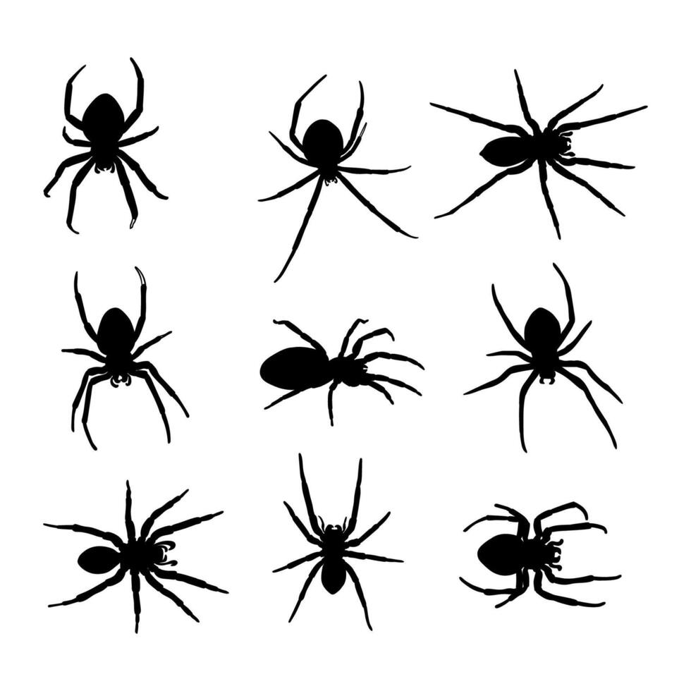 Set of spider silhouettes isolated on white background vector