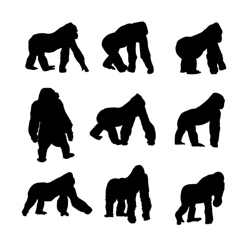 silhouette gorilla collection on white background vector