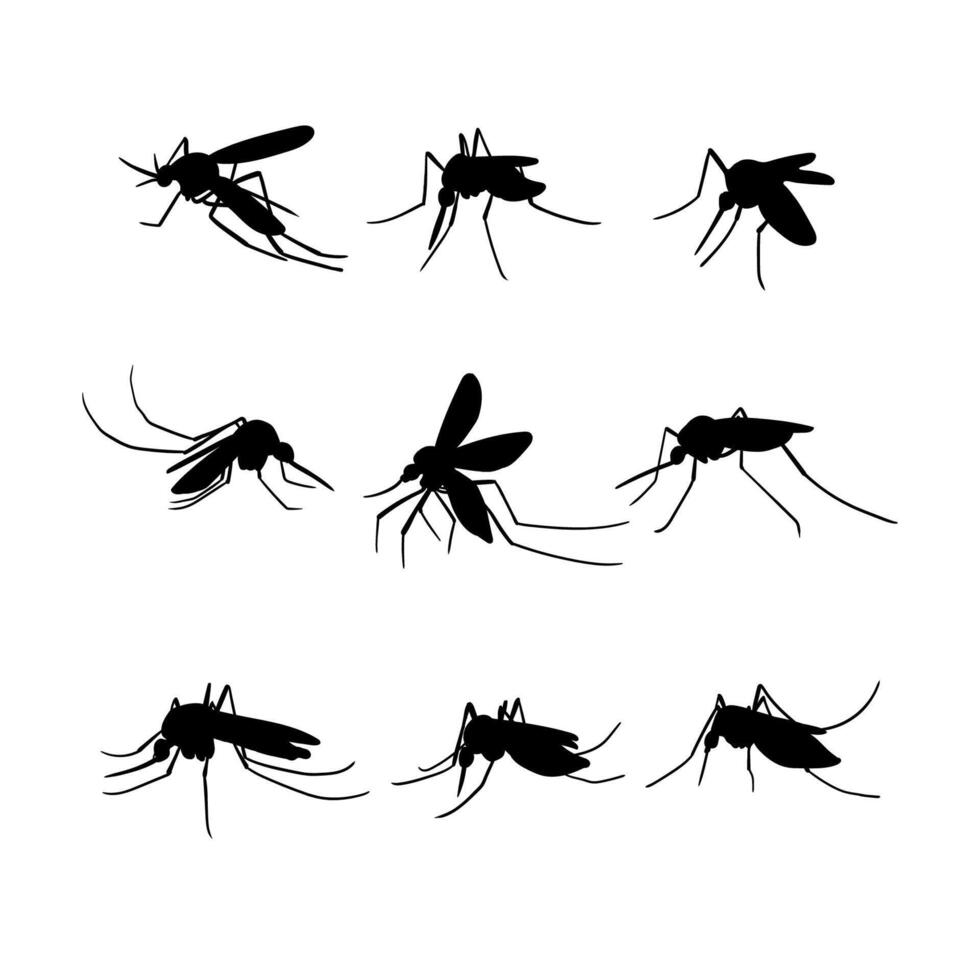 silhouette mosquito collection set on white background vector