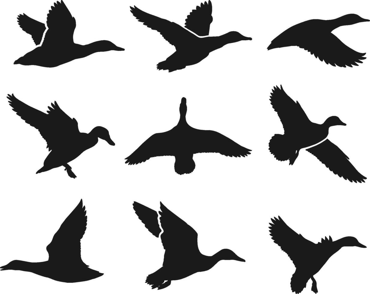 Hand drawn animals silhouette set flat design vector