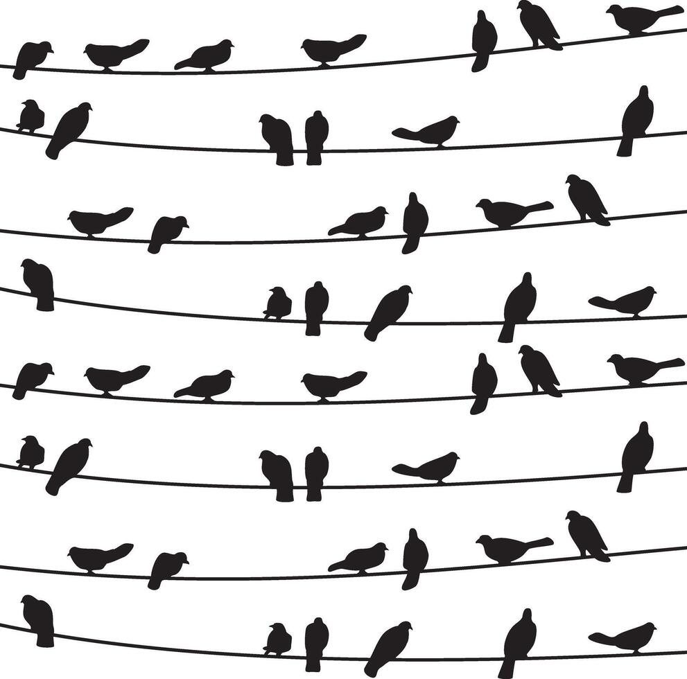 Birds on Wire Background vector