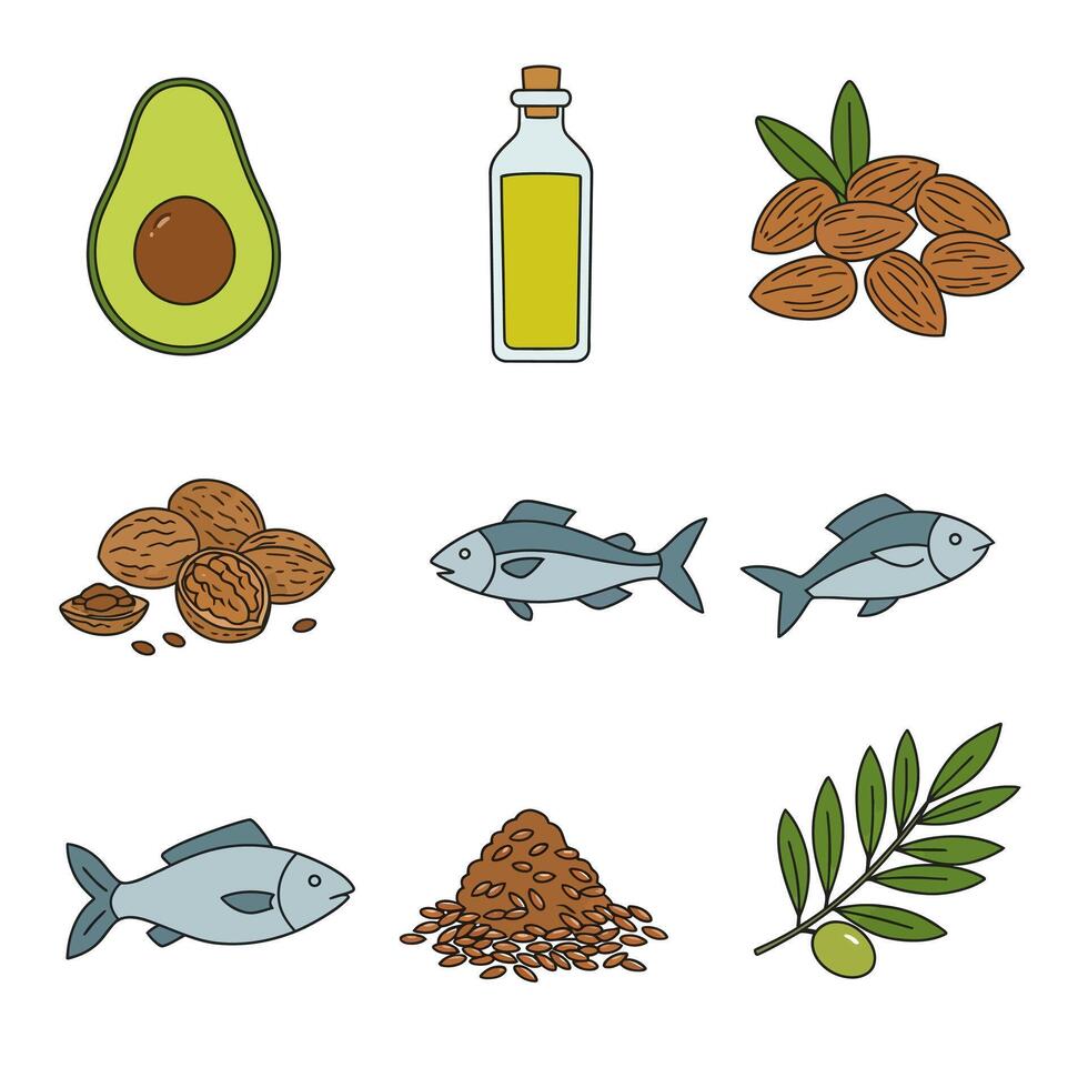 Omega3 sources Avocado with Fish, Oil, Nuts, and seeds. vector
