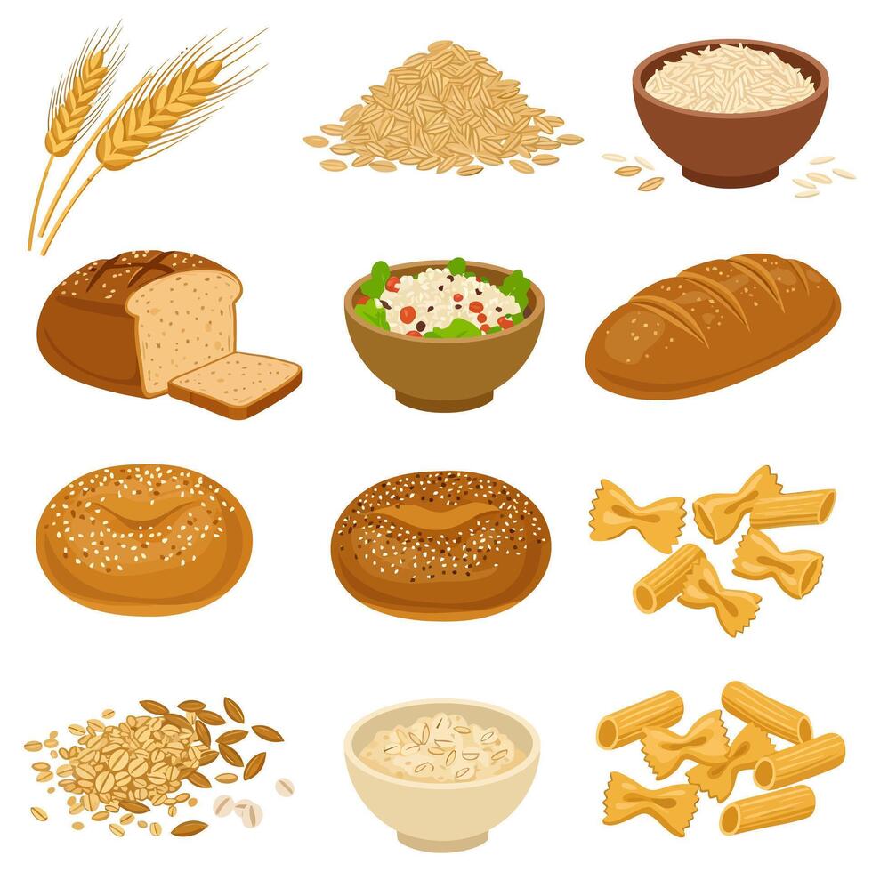 Cereal Grain Foods Bread with Pasta, and Oats. vector