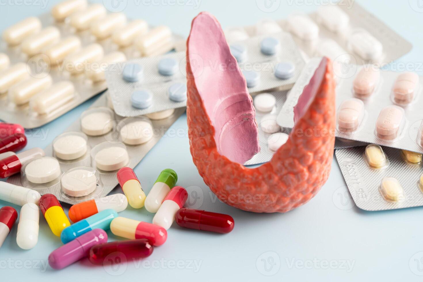 Thyroid model with pill drug treatment photo
