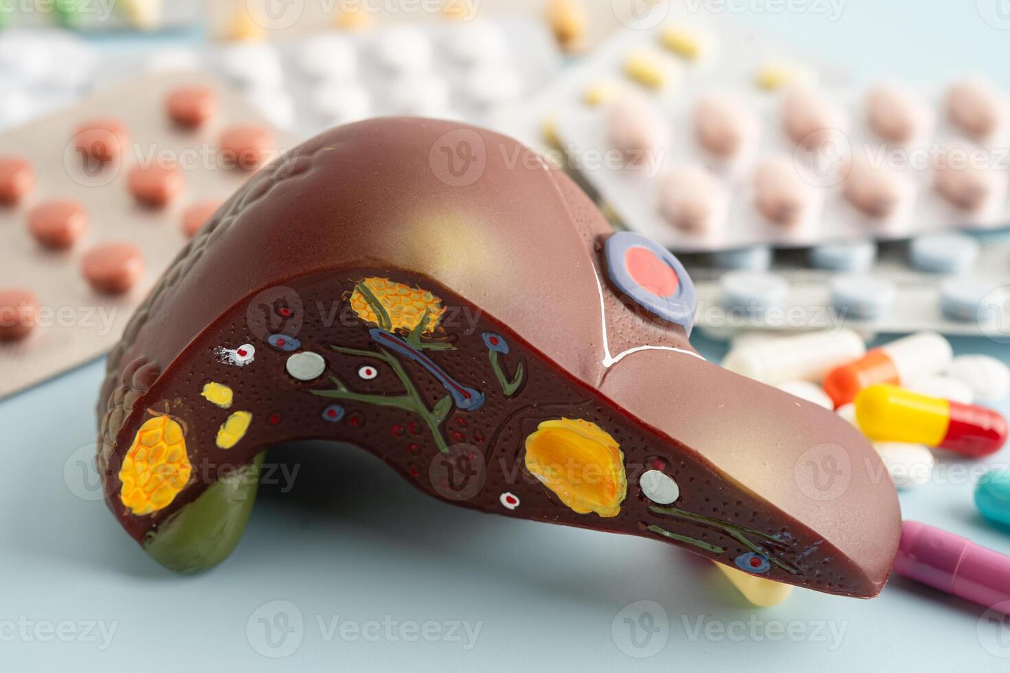 Liver model with pill drug photo
