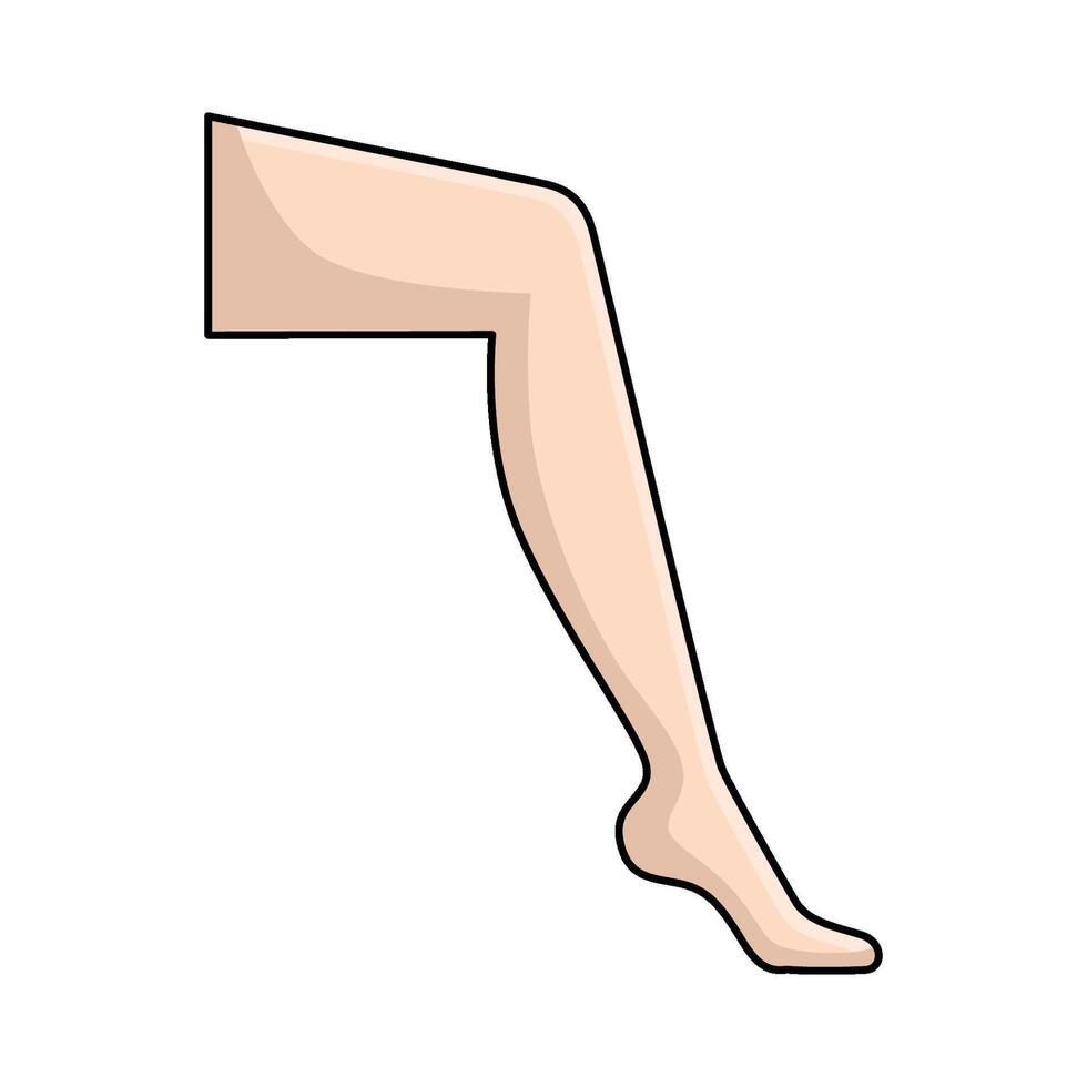 illustration of Human Leg vector