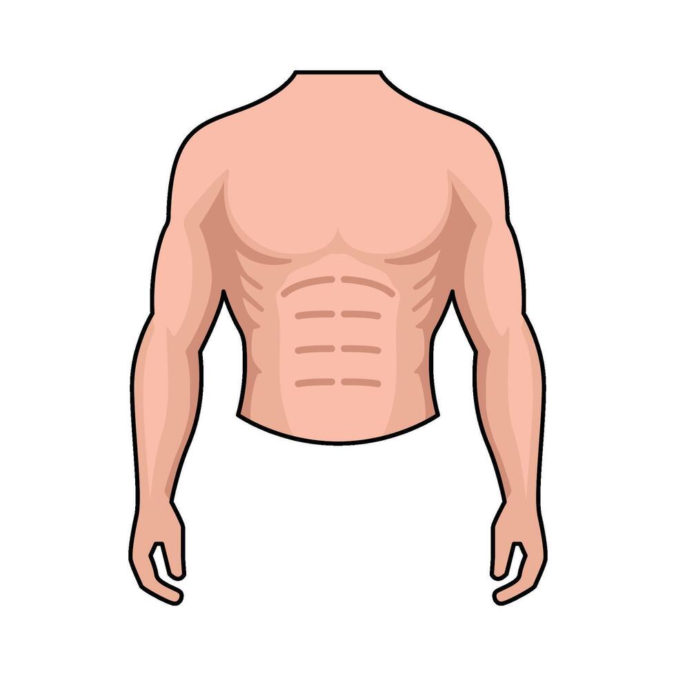 illustration of Torso vector