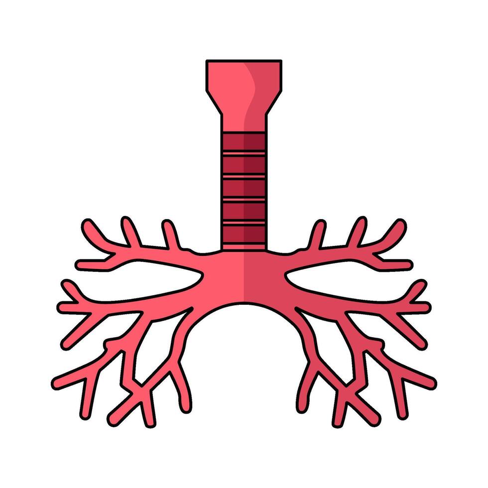 illustration of Trachea vector