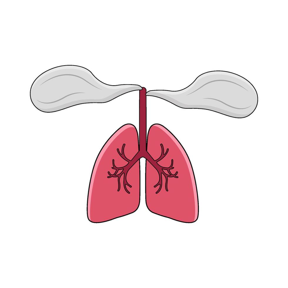 illustration of Respiration vector