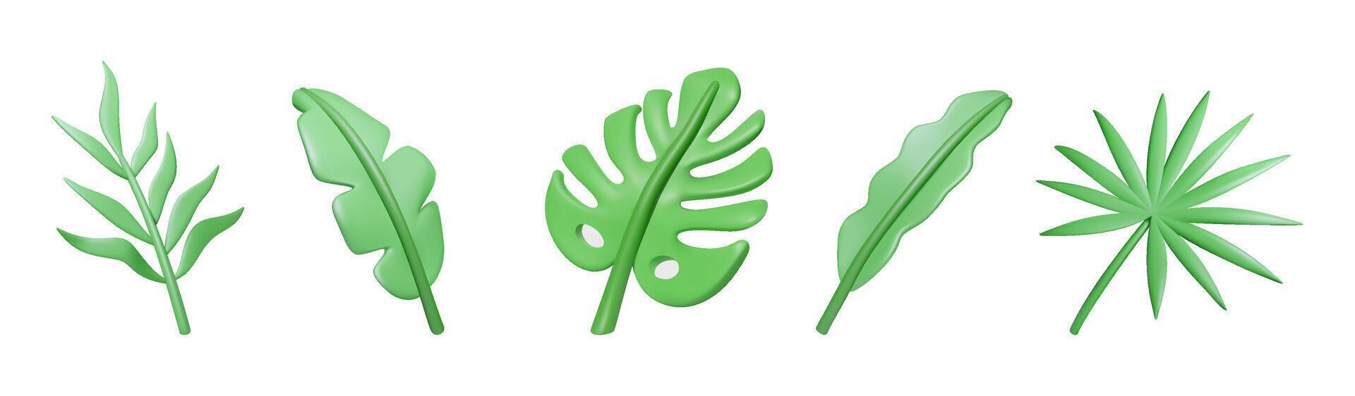 3D tropical cartoon leaf set isolated vector