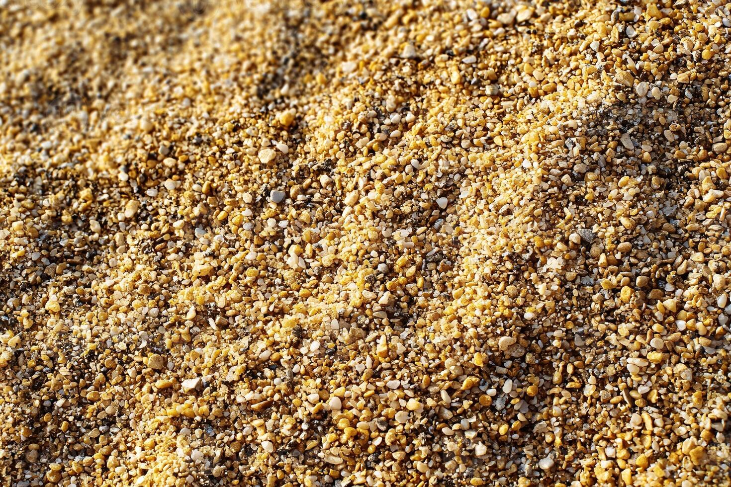 Sunlit Golden Sand Grains with Crisp Texture Detail on Beach Surface photo