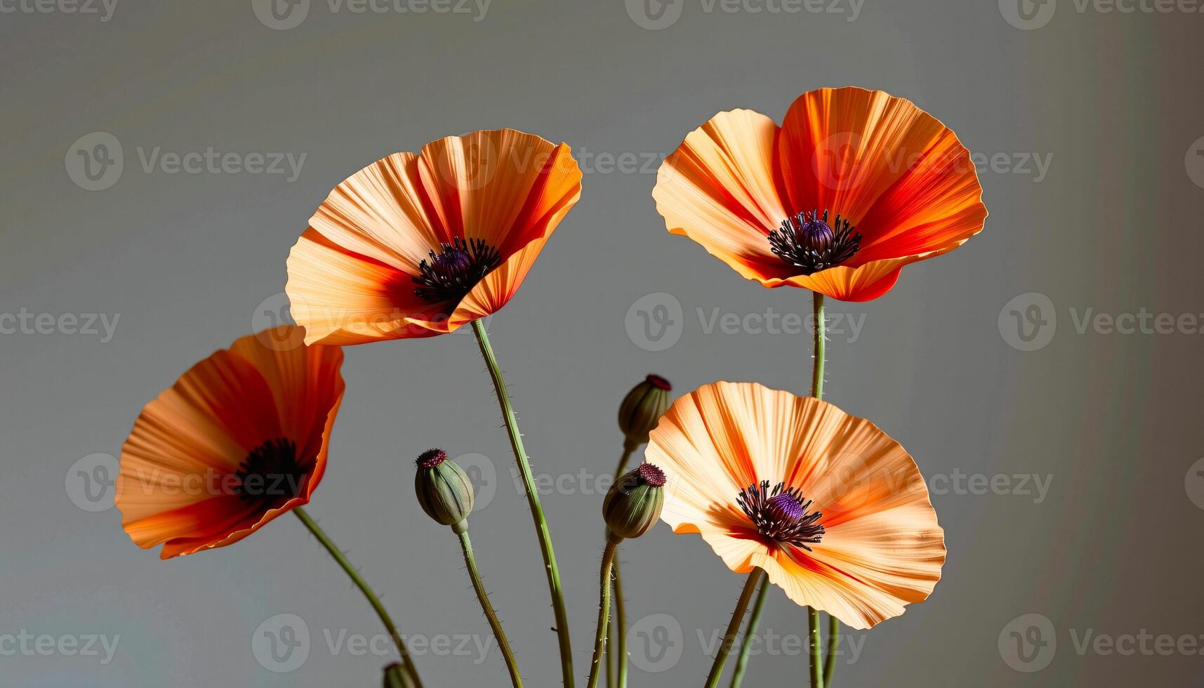 Elegant cluster of poppy in a minimalist style, with rust and beige tones, smooth curves photo
