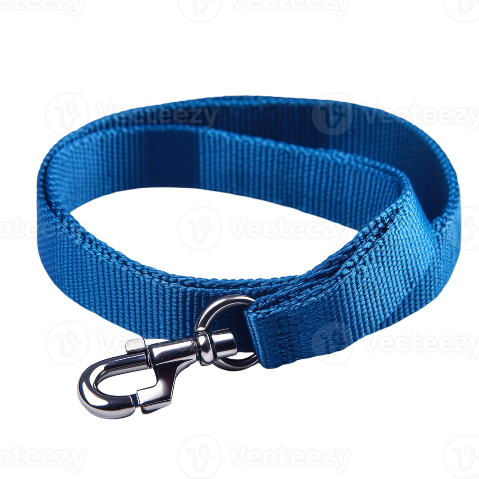 Blue leash for dogs nylon pet walking lead training tool isolated on transparent background png