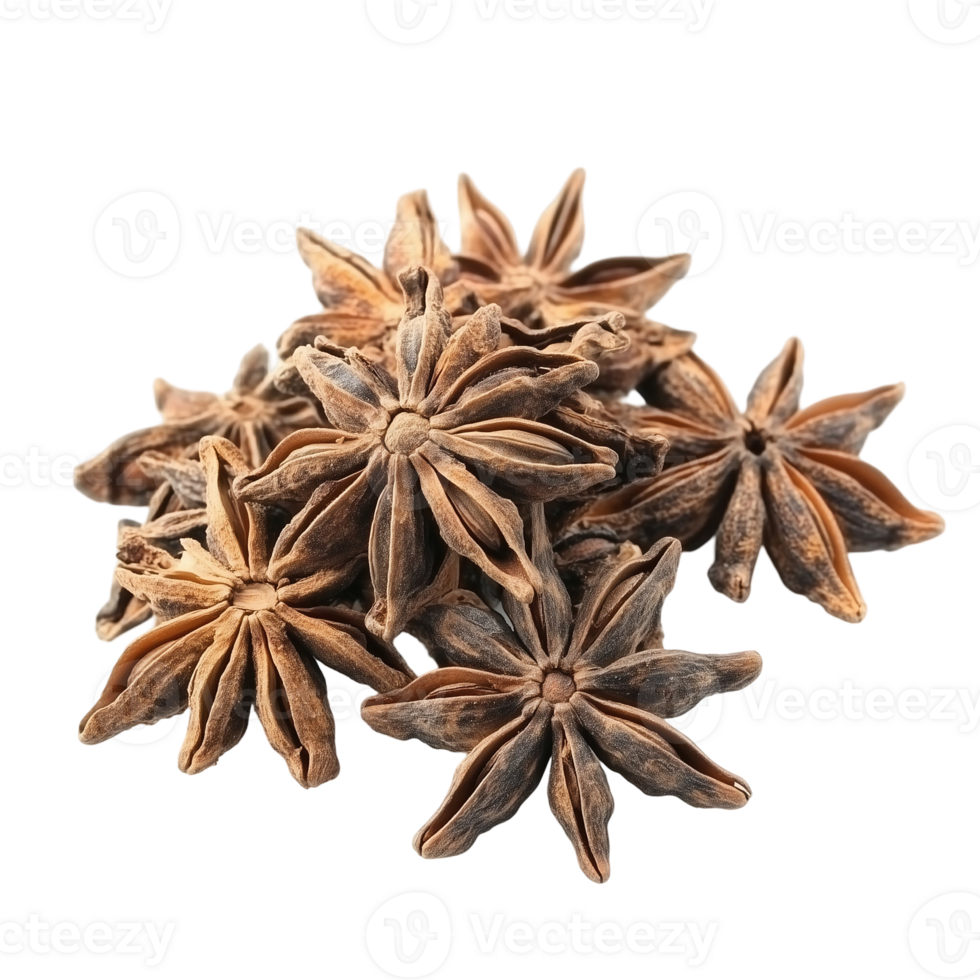 Star anise spice aromatic ingredient culinary flavor food isolated on transparent background png