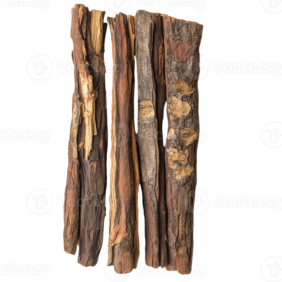 Tree barks textures wood logs natural brown rough surface isolated on transparent background png