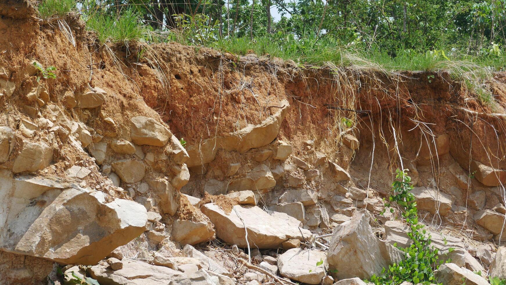 An erosion of soil and rock layers reveals rugged landscape with exposed stones and roots, showcasing natural processes of earth movement and vegetation growth photo